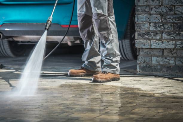 Best Driveway Pressure Washing  in Mount Ayr, IA