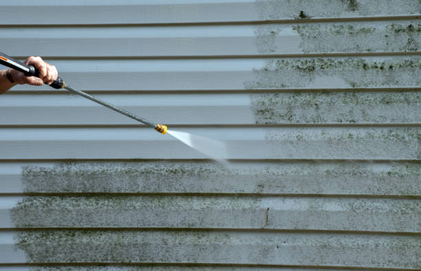 Best Sidewalk and Walkway Cleaning  in Mount Ayr, IA